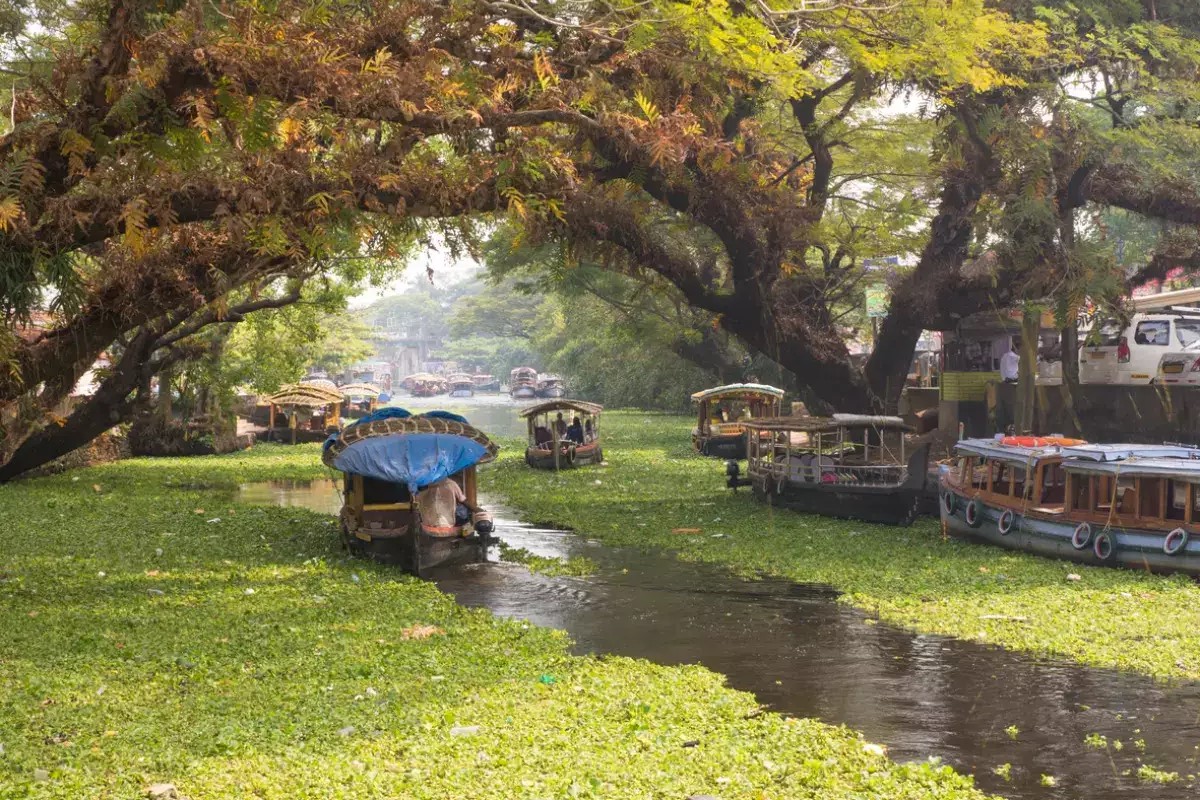 Vembanad Lake, Kumarakom