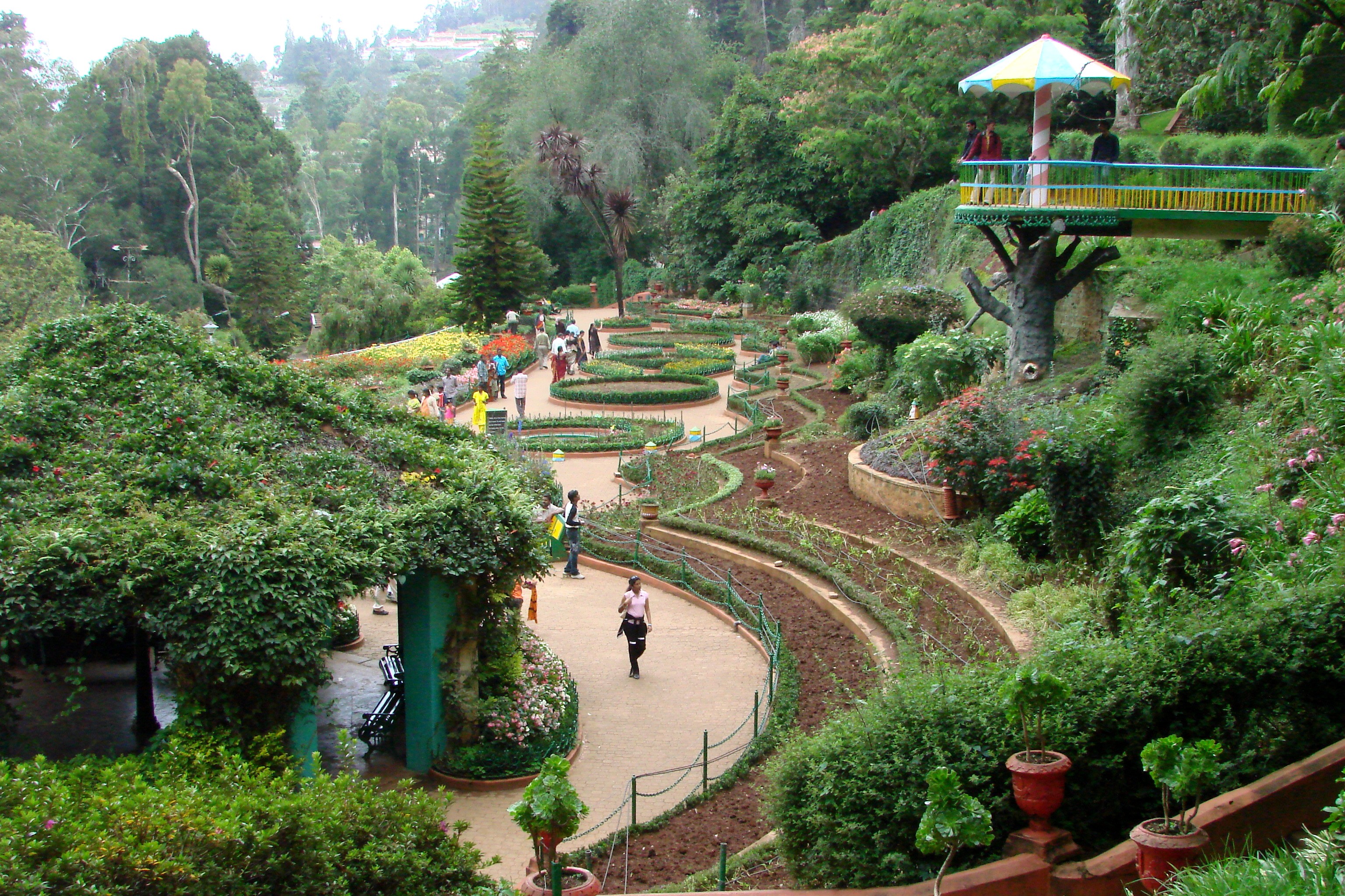 Botanical Gardens, Ooty