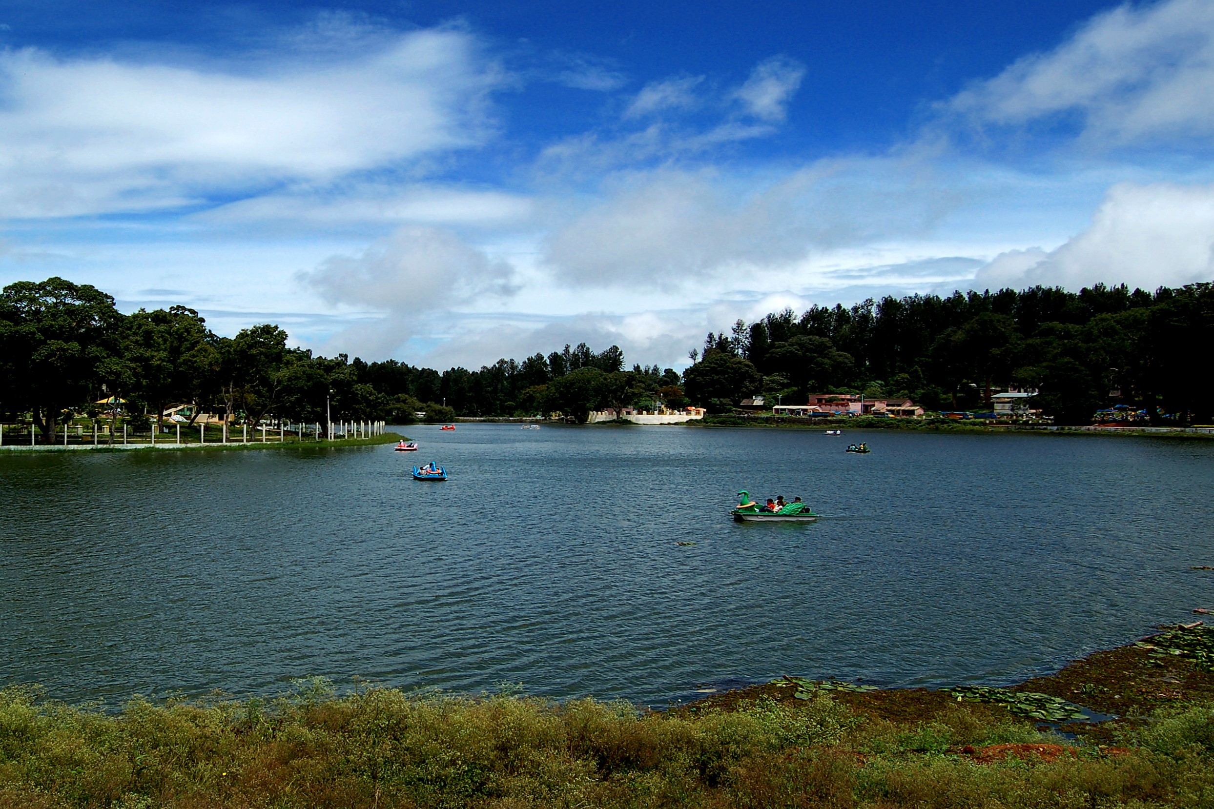 Yercaud Lake, Yercaud