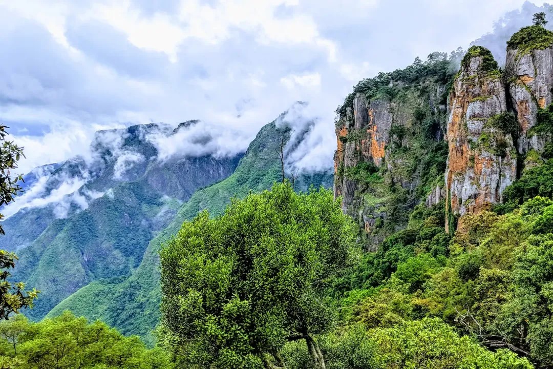 Pillar Rocks, Kodaikanal